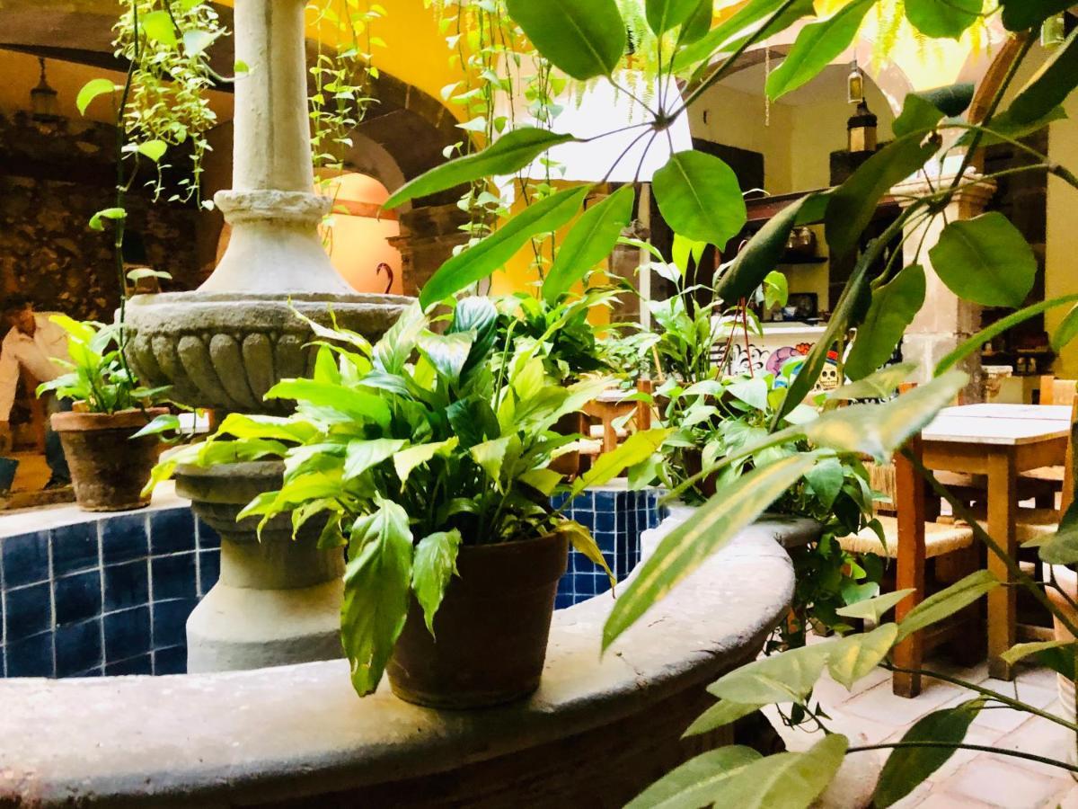 Hotel Mansion Virreyes By Rotamundos San Miguel de Allende Dış mekan fotoğraf